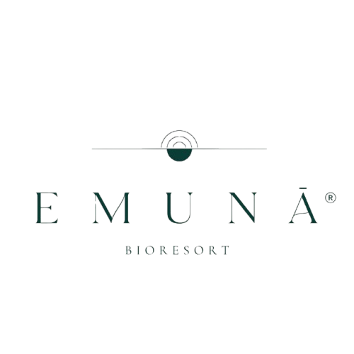 Logo Hotel Emuná